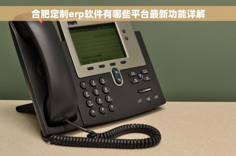 合肥定制erp软件有哪些平台最新功能详解