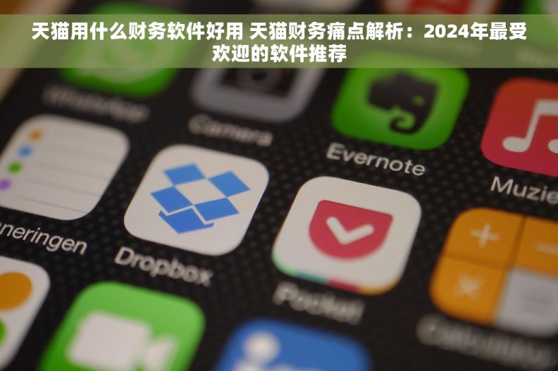 天猫用什么财务软件好用 天猫财务痛点解析：2024年最受欢迎的软件推荐