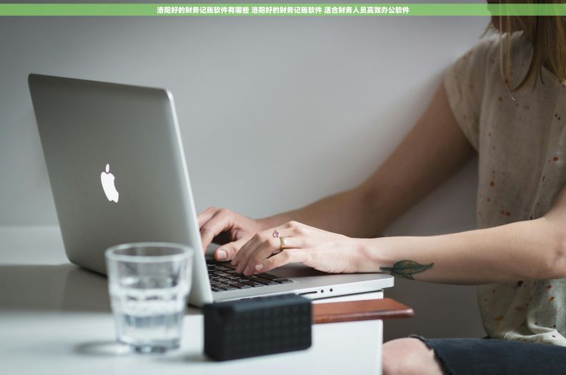 洛阳好的财务记账软件有哪些 洛阳好的财务记账软件 适合财务人员高效办公软件