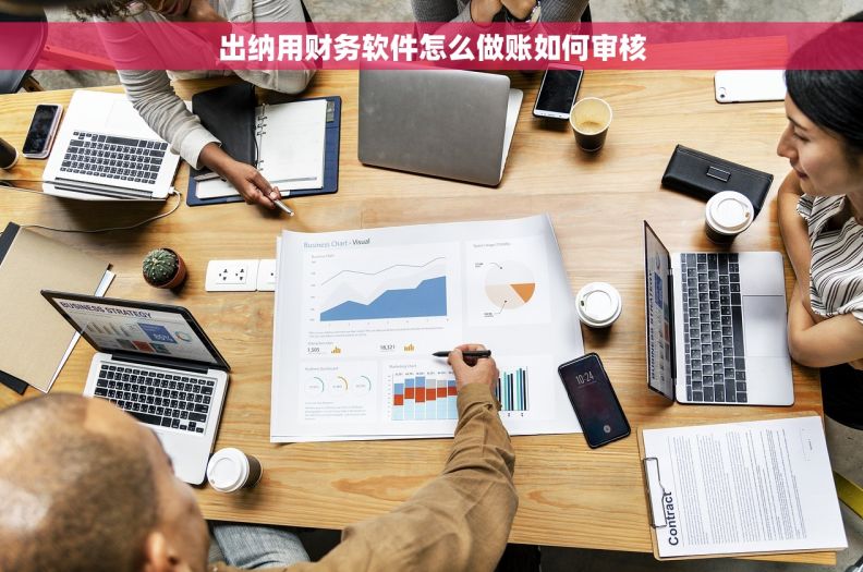 出纳用财务软件怎么做账如何审核