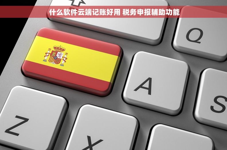  什么软件云端记账好用 税务申报辅助功能