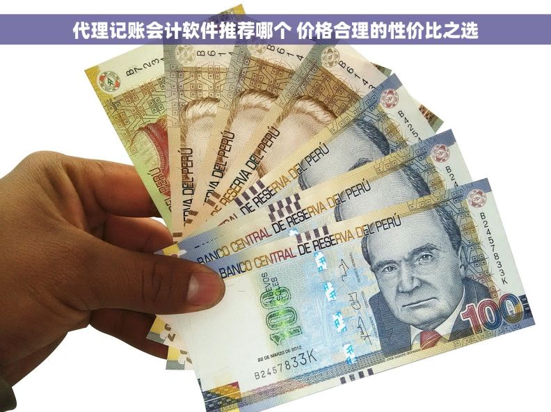 代理记账会计软件推荐哪个 价格合理的性价比之选