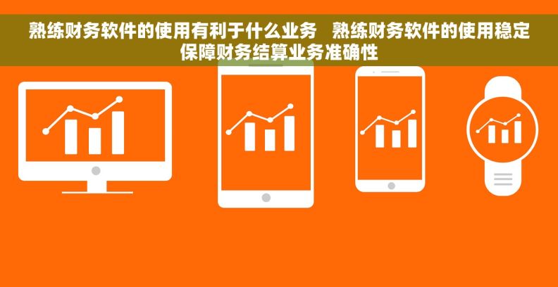 熟练财务软件的使用有利于什么业务   熟练财务软件的使用稳定保障财务结算业务准确性
