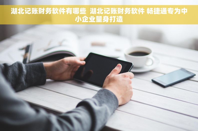 湖北记账财务软件有哪些  湖北记账财务软件 畅捷通专为中小企业量身打造