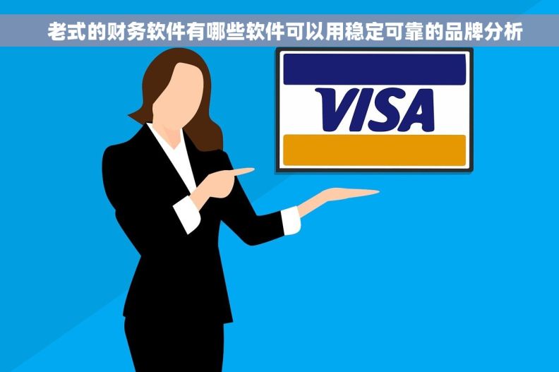   老式的财务软件有哪些软件可以用稳定可靠的品牌分析