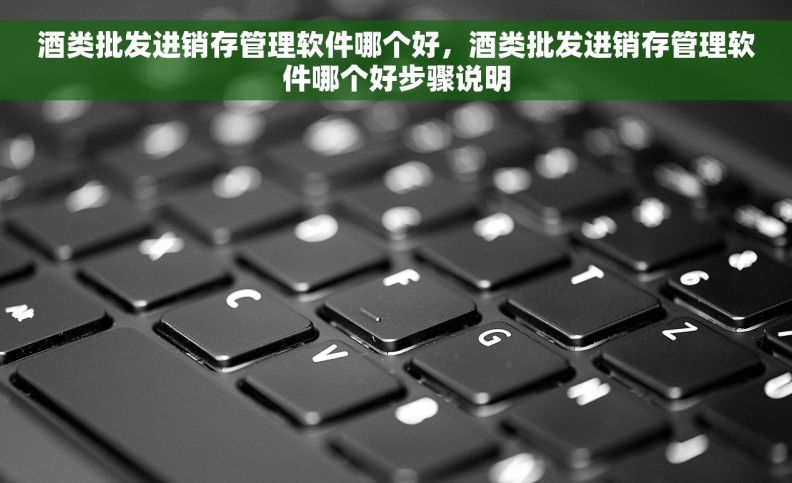 酒类批发进销存管理软件哪个好,酒类批发进销存管理软件哪个好步骤说明 酒类批发进销存管理软件哪个好,酒类批发进销存管理软件哪个好步骤说明