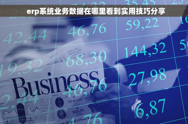   erp系统业务数据在哪里看到实用技巧分享