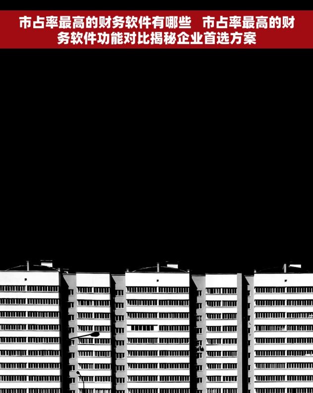 市占率最高的财务软件有哪些   市占率最高的财务软件功能对比揭秘企业首选方案