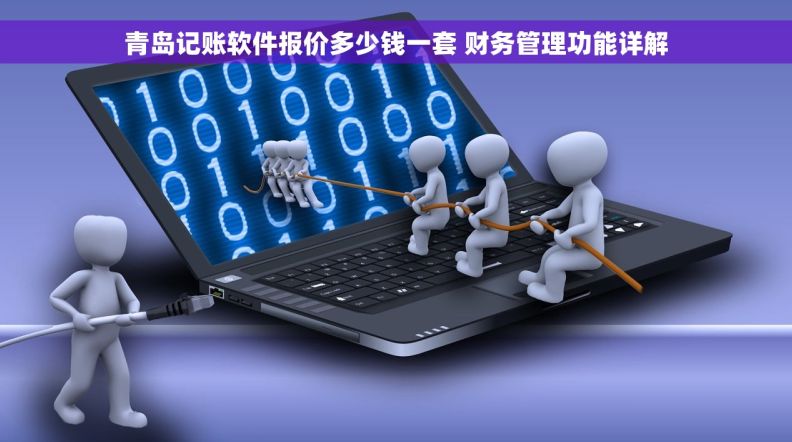 青岛记账软件报价多少钱一套 财务管理功能详解