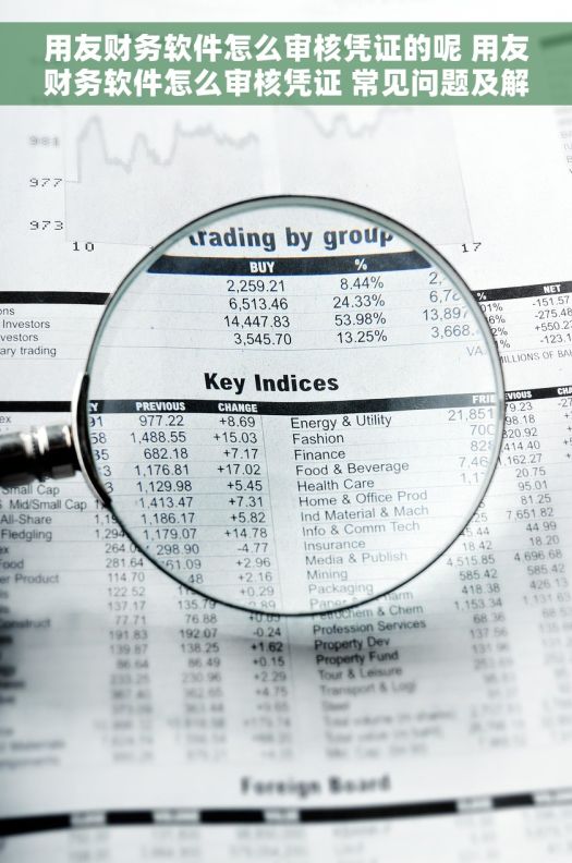 用友财务软件怎么审核凭证的呢 用友财务软件怎么审核凭证 常见问题及解决方案 用友财务软件怎么审核凭证的呢 用友财务软件怎么审核凭证 常见问题及解决方案