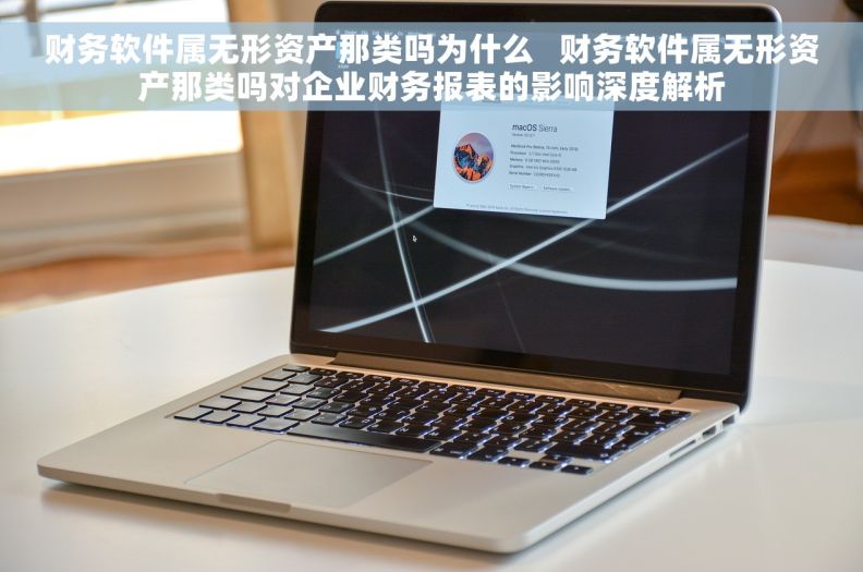 财务软件属无形资产那类吗为什么   财务软件属无形资产那类吗对企业财务报表的影响深度解析