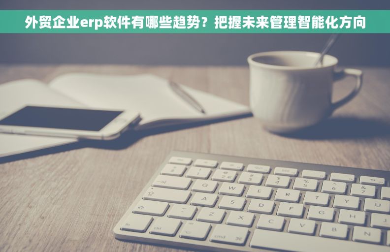 外贸企业erp软件有哪些趋势？把握未来管理智能化方向