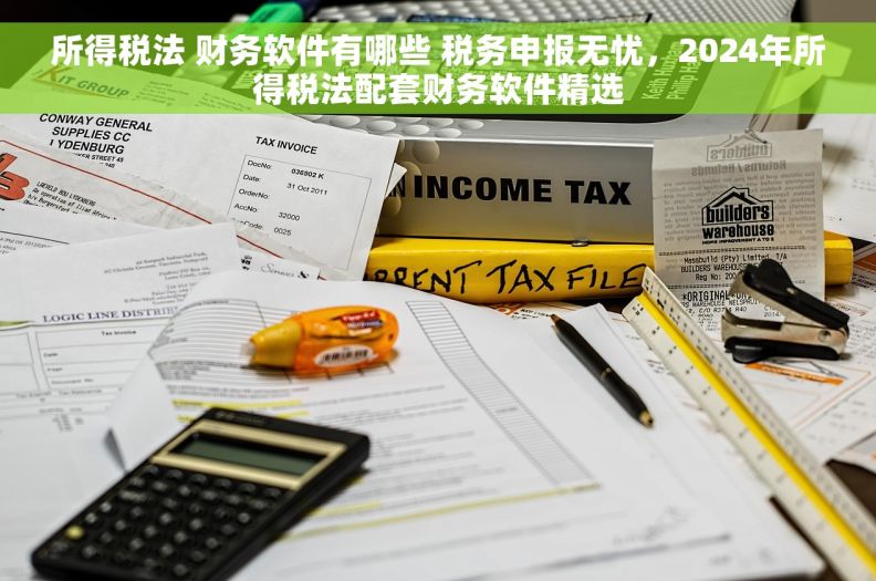 所得税法 财务软件有哪些 税务申报无忧，2024年所得税法配套财务软件精选