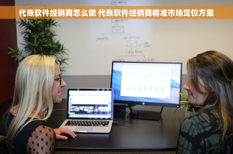 代账软件经销商怎么做 代账软件经销商精准市场定位方案 代账软件经销商怎么做 代账软件经销商精准市场定位方案