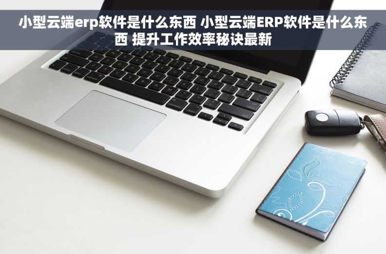 小型云端erp软件是什么东西 小型云端ERP软件是什么东西 提升工作效率秘诀最新