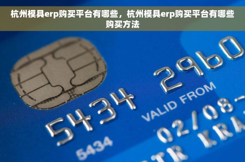 杭州模具erp购买平台有哪些，杭州模具erp购买平台有哪些购买方法