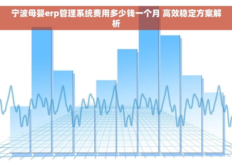宁波母婴erp管理系统费用多少钱一个月 高效稳定方案解析