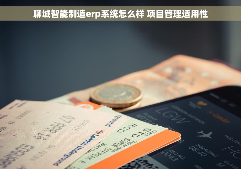 聊城智能制造erp系统怎么样 项目管理适用性