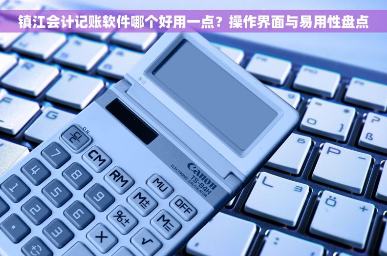 镇江会计记账软件哪个好用一点？操作界面与易用性盘点