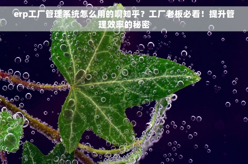erp工厂管理系统怎么用的啊知乎？工厂老板必看！提升管理效率的秘密