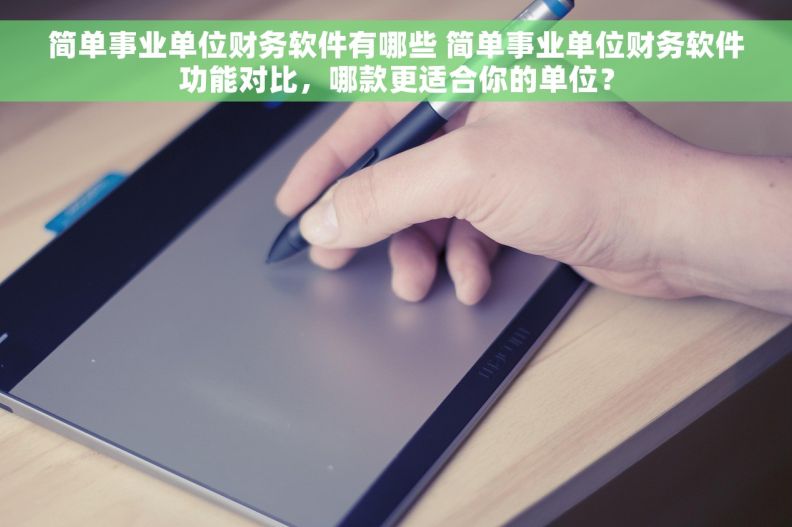 简单事业单位财务软件有哪些 简单事业单位财务软件功能对比，哪款更适合你的单位？