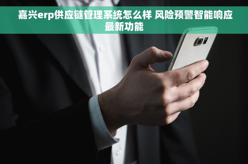  嘉兴erp供应链管理系统怎么样 风险预警智能响应最新功能