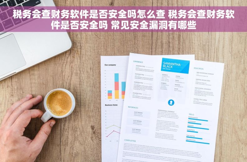 税务会查财务软件是否安全吗怎么查 税务会查财务软件是否安全吗 常见安全漏洞有哪些