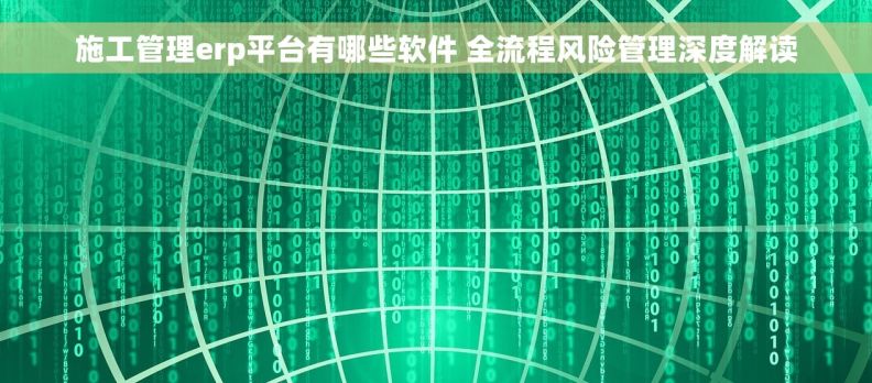 施工管理erp平台有哪些软件 全流程风险管理深度解读