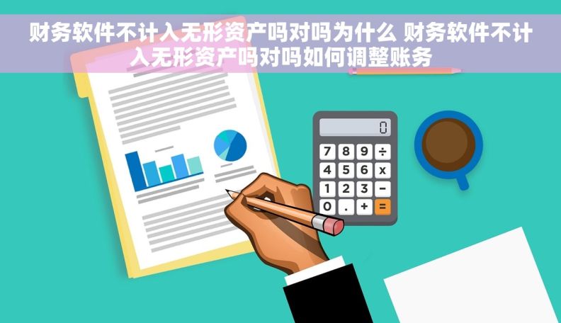 财务软件不计入无形资产吗对吗为什么 财务软件不计入无形资产吗对吗如何调整账务