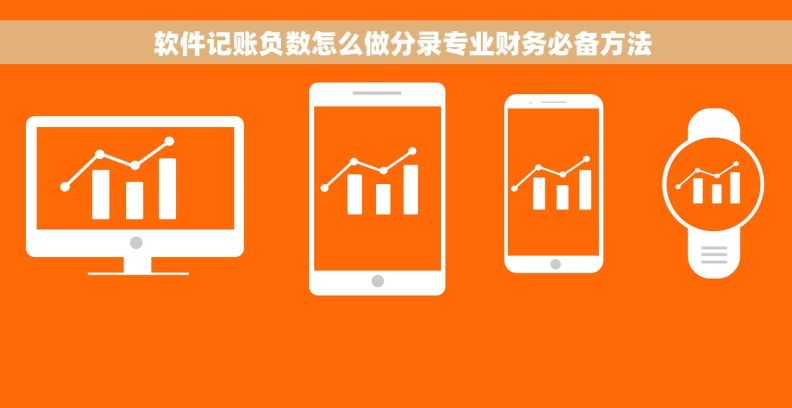 软件记账负数怎么做分录专业财务必备方法 软件记账负数怎么做分录专业财务必备方法