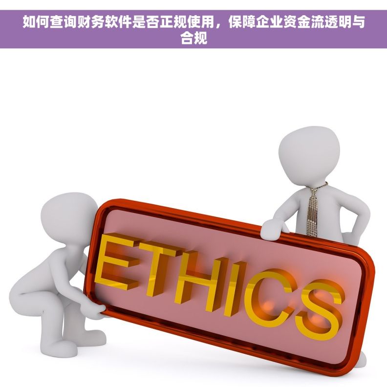 如何查询财务软件是否正规使用，保障企业资金流透明与合规