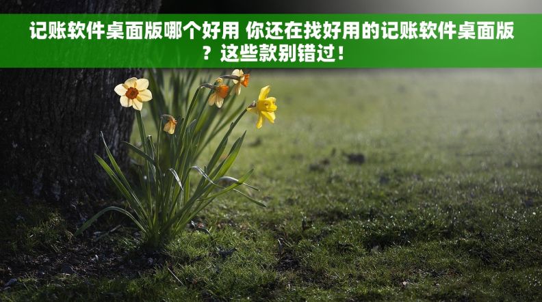 记账软件桌面版哪个好用 你还在找好用的记账软件桌面版？这些款别错过！