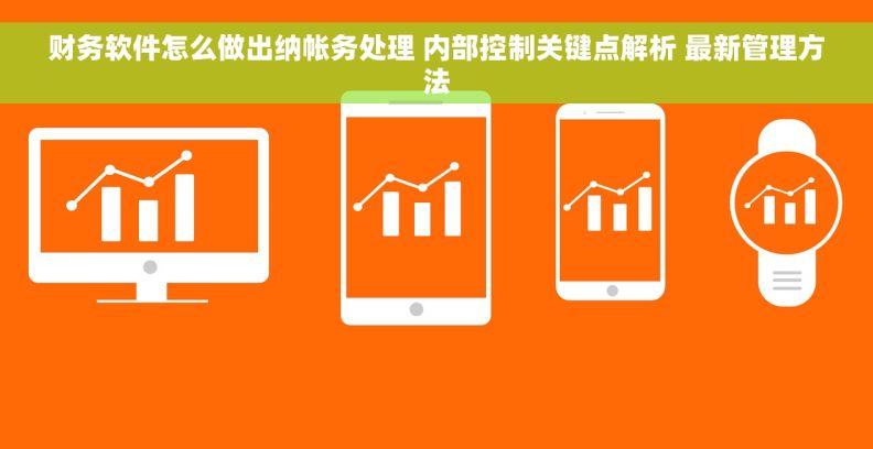 财务软件怎么做出纳帐务处理 内部控制关键点解析 最新管理方法