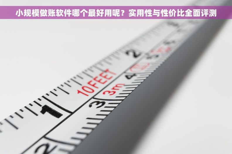 小规模做账软件哪个最好用呢？实用性与性价比全面评测