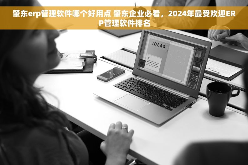 肇东erp管理软件哪个好用点 肇东企业必看,2024年最受欢迎ERP管理软件排名 肇东erp管理软件哪个好用点 肇东企业必看,2024年最受欢迎ERP管理软件排名