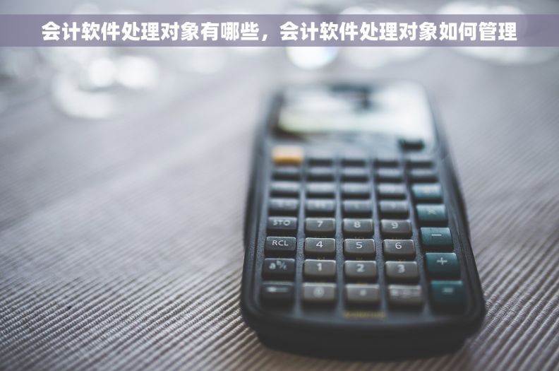 会计软件处理对象有哪些,会计软件处理对象如何管理 会计软件处理对象有哪些,会计软件处理对象如何管理