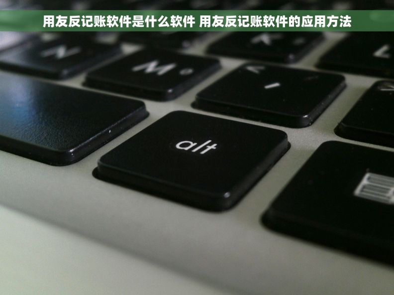 用友反记账软件是什么软件 用友反记账软件的应用方法 用友反记账软件是什么软件 用友反记账软件的应用方法