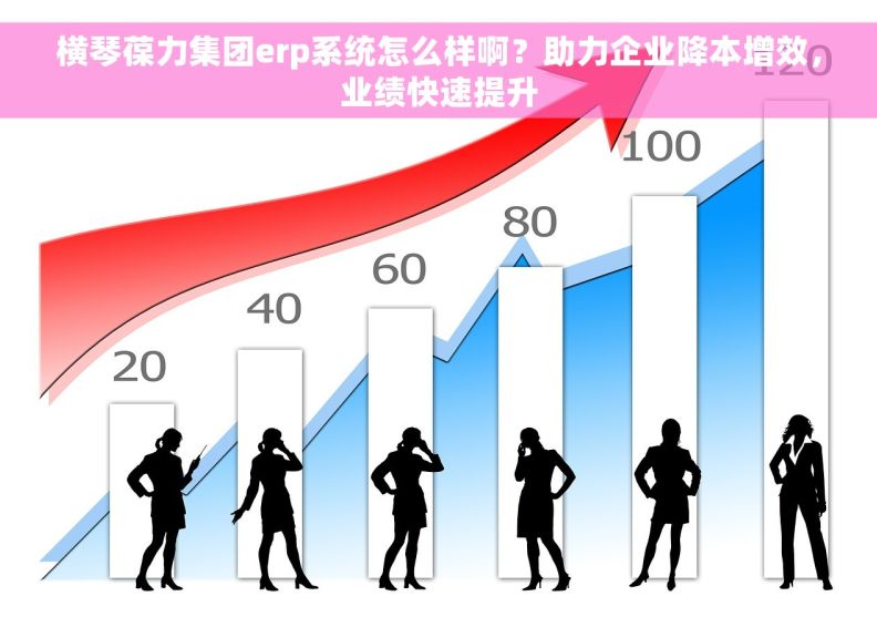 横琴葆力集团erp系统怎么样啊?助力企业降本增效,业绩快速提升 横琴葆力集团erp系统怎么样啊?助力企业降本增效,业绩快速提升