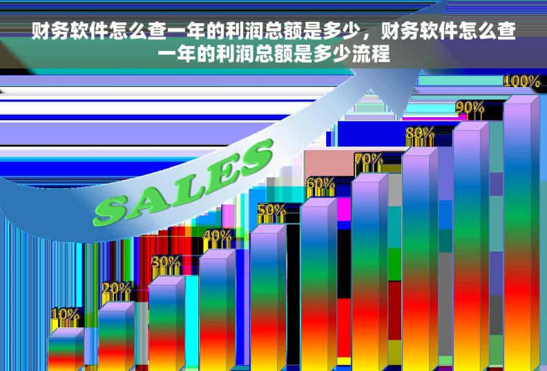 财务软件怎么查一年的利润总额是多少，财务软件怎么查一年的利润总额是多少流程