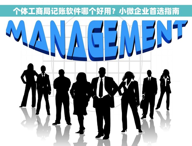 个体工商局记账软件哪个好用?小微企业首选指南 个体工商局记账软件哪个好用?小微企业首选指南