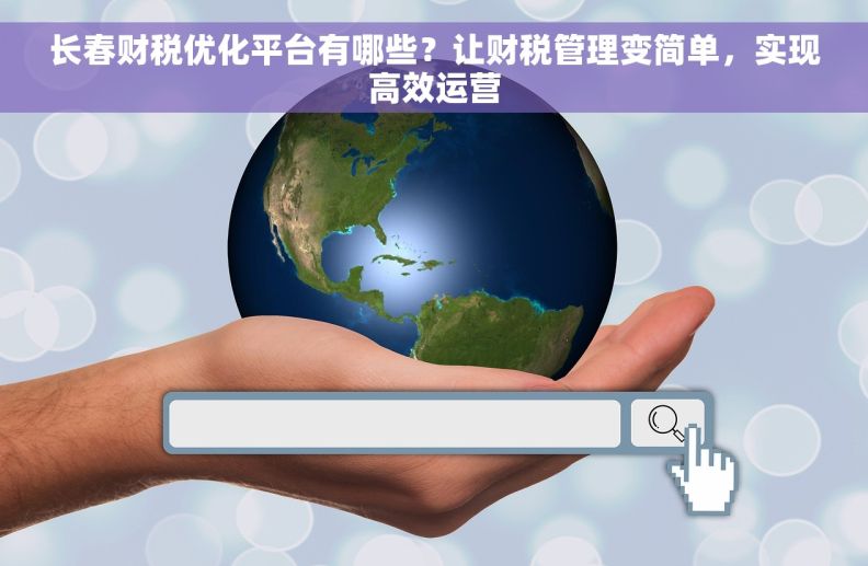 长春财税优化平台有哪些？让财税管理变简单，实现高效运营