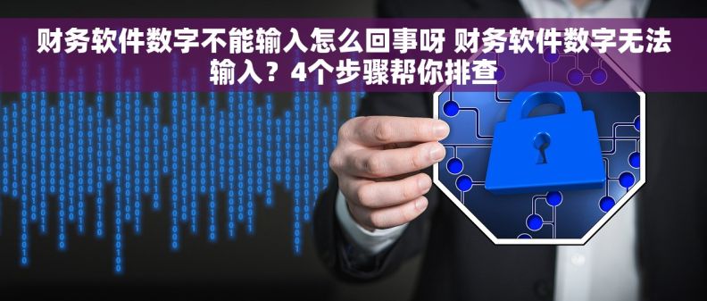 财务软件数字不能输入怎么回事呀 财务软件数字无法输入？4个步骤帮你排查