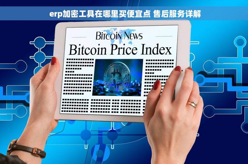  erp加密工具在哪里买便宜点 售后服务详解