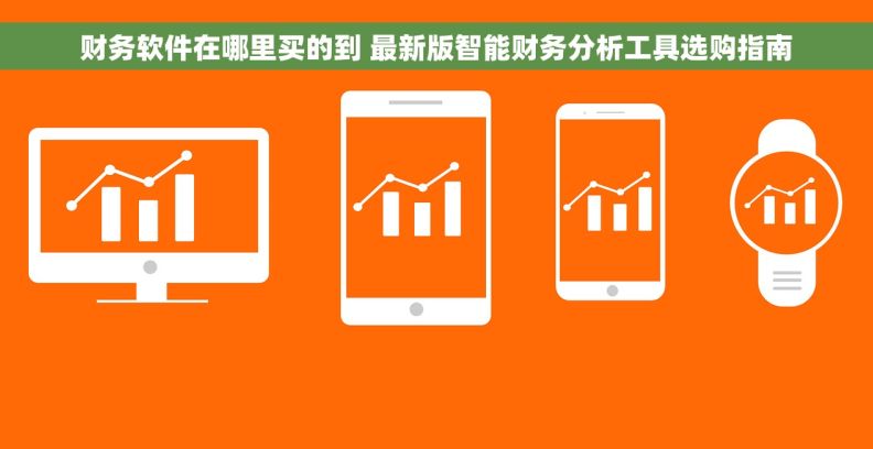 财务软件在哪里买的到 最新版智能财务分析工具选购指南