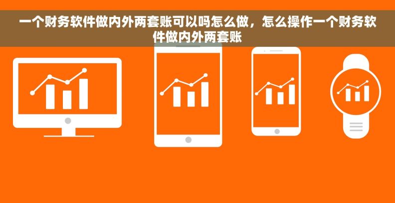 一个财务软件做内外两套账可以吗怎么做,怎么操作一个财务软件做内外两套账 一个财务软件做内外两套账可以吗怎么做,怎么操作一个财务软件做内外两套账