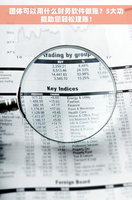 团体可以用什么财务软件做账？5大功能助您轻松理账！