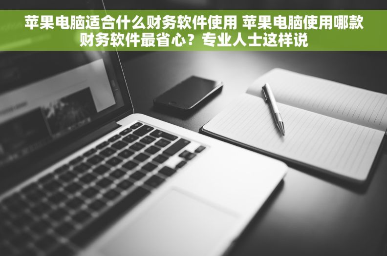 苹果电脑适合什么财务软件使用 苹果电脑使用哪款财务软件最省心？专业人士这样说