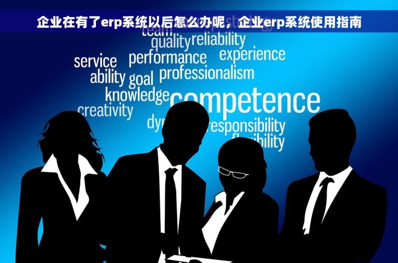 企业在有了erp系统以后怎么办呢，企业erp系统使用指南