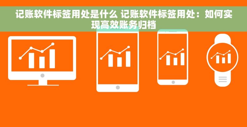 记账软件标签用处是什么 记账软件标签用处：如何实现高效账务归档