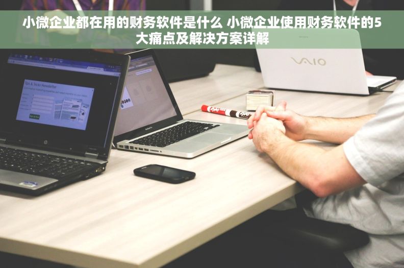 小微企业都在用的财务软件是什么 小微企业使用财务软件的5大痛点及解决方案详解